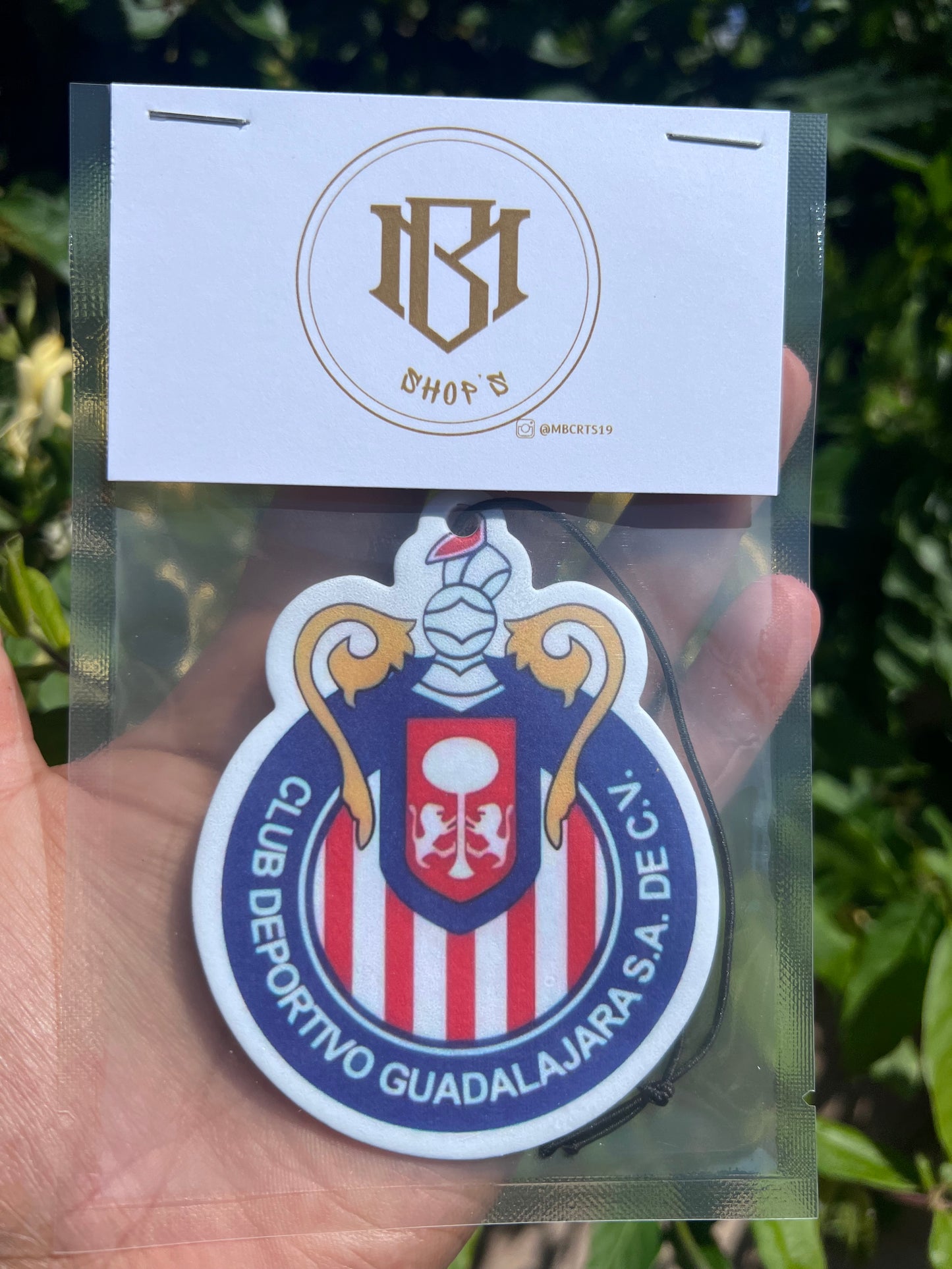 Club Deportivo Guadalajara Chivas