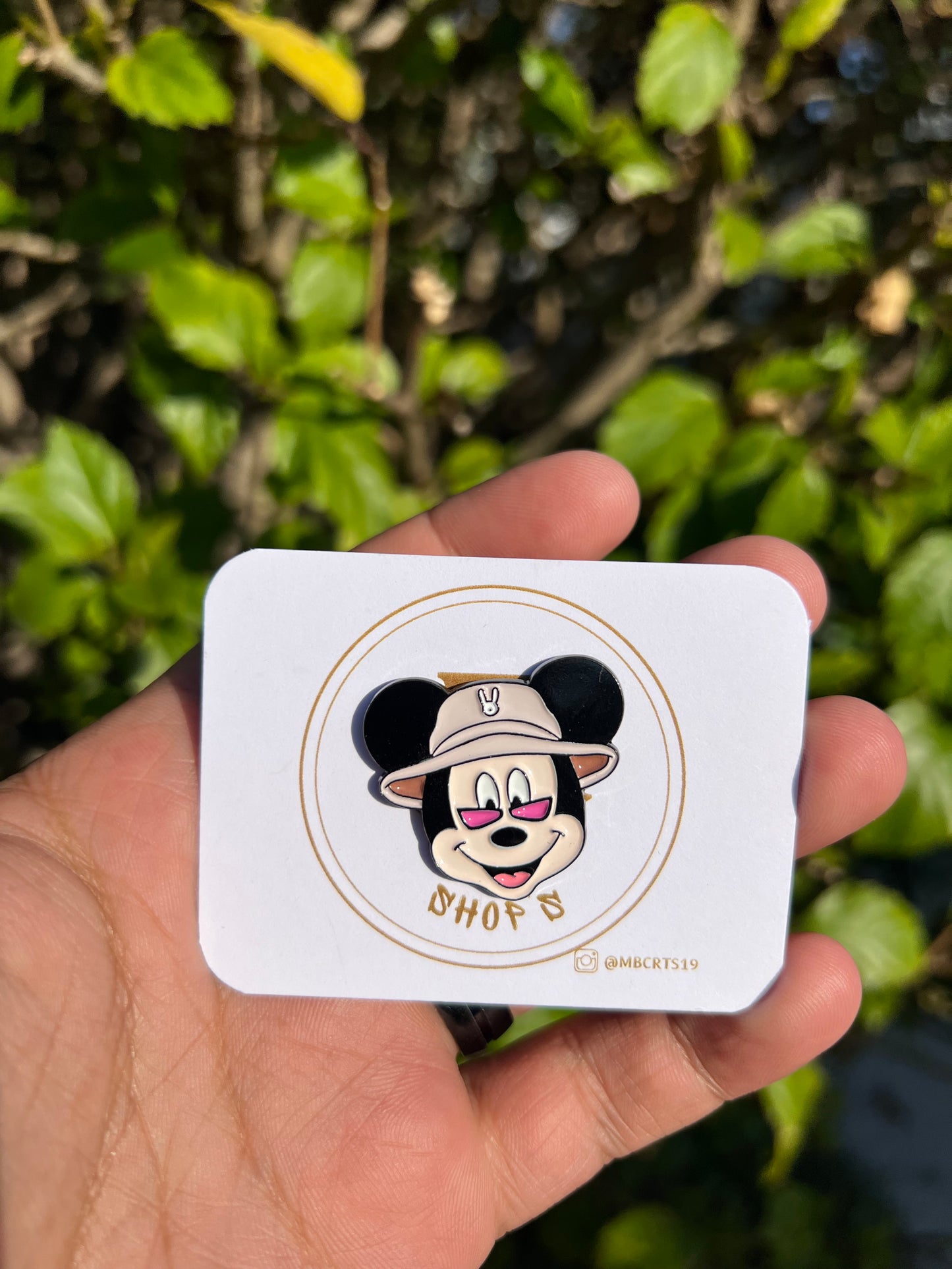 Mickey Bunny