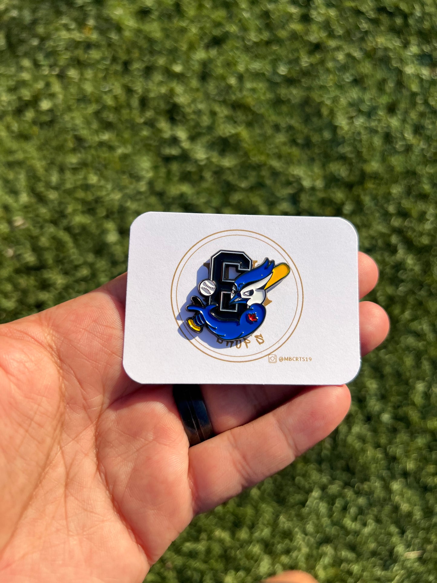 Toronto BlueJay