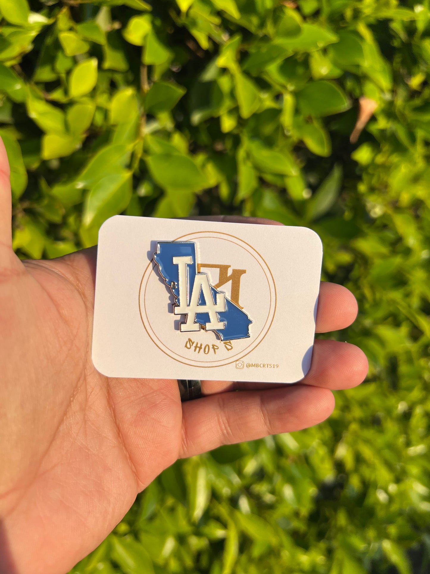 LA state